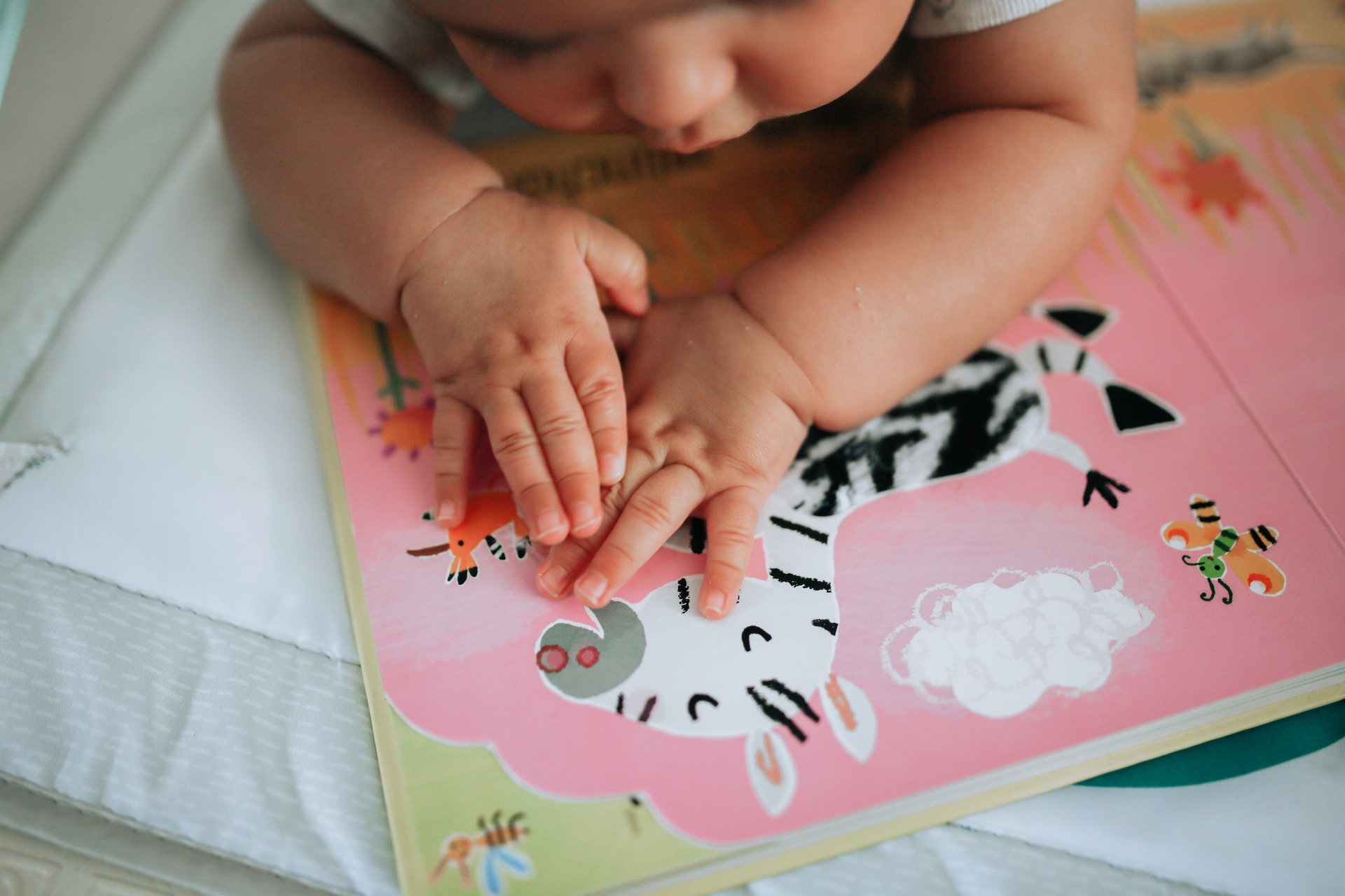 A baby looks at a book with cartoonish drawings of a zebra and a butterfly.